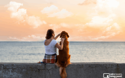 Carcinomatosis in Dogs: Exploring Treatment Options During Tough Times